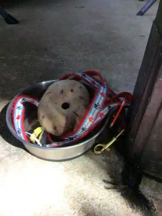 上目黒氷川神社(東京都)