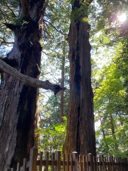 玉置神社(奈良県)