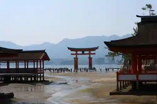 厳島神社の鳥居