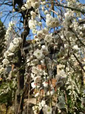 明王院(東京都)