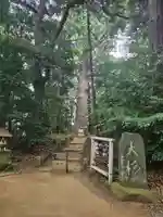 麻賀多神社(千葉県)