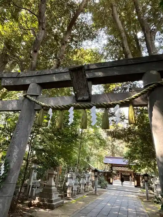 駒木諏訪神社(千葉県)