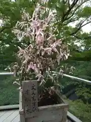 宝満宮竈門神社(福岡県)