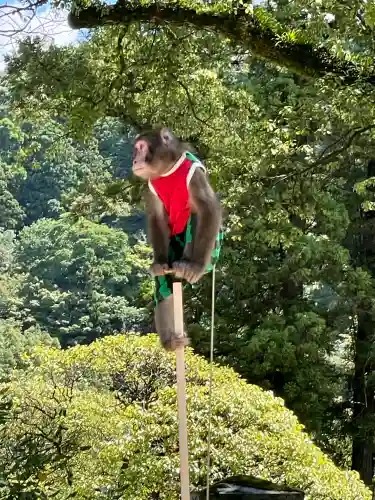 太宰府天満宮の{uncategorized: "未分類", other: "その他", undefined: "問題あり", building: "その他建物", grave: "お墓", sacred_gate: "鳥居", guardian: "狛犬", statue: "像", buddha: "仏像", history: "歴史", nature: "自然", garden: "庭園", animal: "動物", pagoda: "塔", temizu: "手水舎", mountain_gate: "山門・神門", sanctuary: "本殿・本堂", subordinate: "末社・摂社", art: "芸術", scenery: "景色", jizo: "地蔵", ema: "絵馬", goshuin: "御朱印", omikuji: "おみくじ", items: "授与品その他", amulet: "お守り", goshuincho: "御朱印帳", eats: "食事", festival: "お祭り", votive_dance: "神楽", shichigosan: "七五三参", wedding: "結婚式", experience: "体験その他", initially: "初詣", around: "周辺", anti_infection: "感染症対策"}