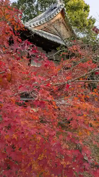 光明寺(粟生光明寺)(京都府)