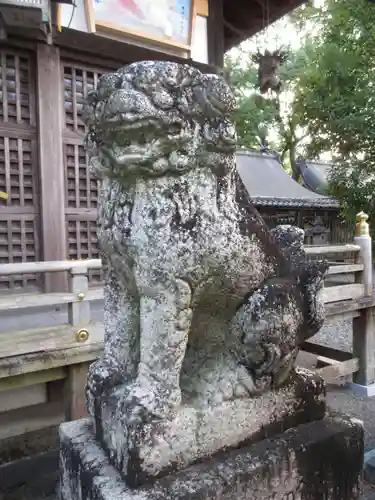 闘鶏神社の狛犬