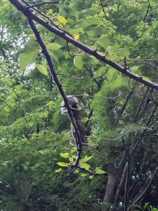 音無神社(静岡県)