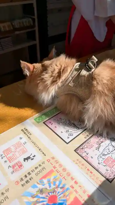 駒込妙義神社の{uncategorized: "未分類", other: "その他", undefined: "問題あり", building: "その他建物", grave: "お墓", sacred_gate: "鳥居", guardian: "狛犬", statue: "像", buddha: "仏像", history: "歴史", nature: "自然", garden: "庭園", animal: "動物", pagoda: "塔", temizu: "手水舎", mountain_gate: "山門・神門", sanctuary: "本殿・本堂", subordinate: "末社・摂社", art: "芸術", scenery: "景色", jizo: "地蔵", ema: "絵馬", goshuin: "御朱印", omikuji: "おみくじ", items: "授与品その他", amulet: "お守り", goshuincho: "御朱印帳", eats: "食事", festival: "お祭り", votive_dance: "神楽", shichigosan: "七五三参", wedding: "結婚式", experience: "体験その他", initially: "初詣", around: "周辺", anti_infection: "感染症対策"}