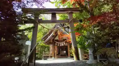 平岸天満宮・太平山三吉神社の鳥居