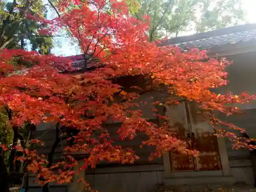 豊國神社の自然