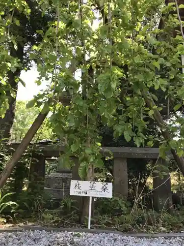 咲前神社の庭園