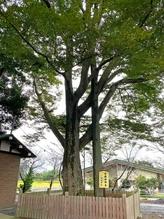 高椅神社の自然