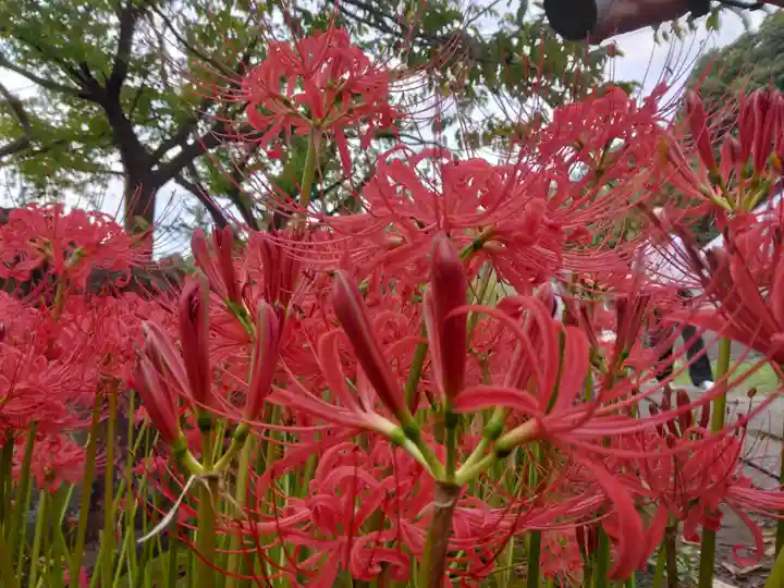 横浜 西方寺(神奈川県)