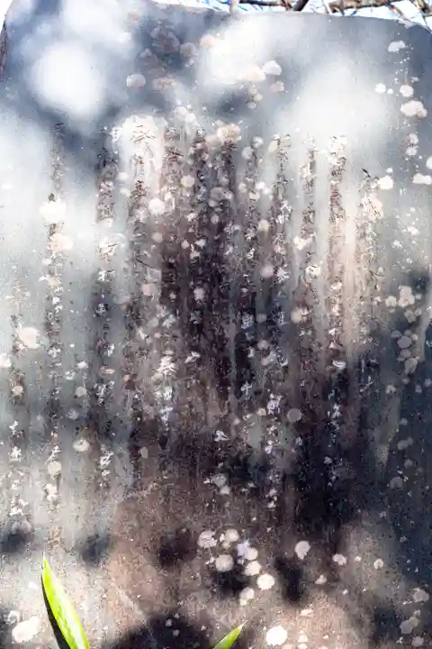 新城藤原神社(長野県)