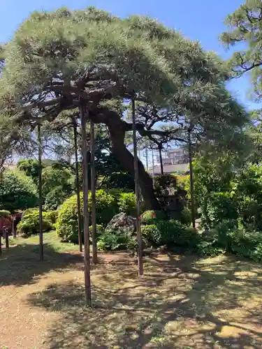 円乗院(東京都)