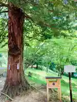 土津神社|こどもと出世の神さまの自然