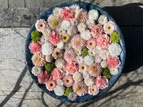 行田八幡神社の手水舎