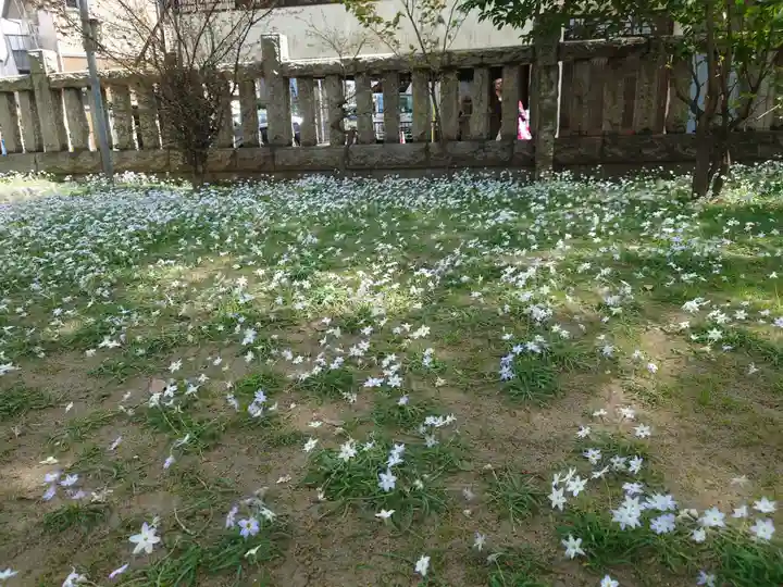 八幡橋八幡神社の自然