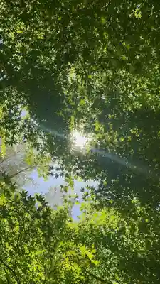 大雲寺(京都府)