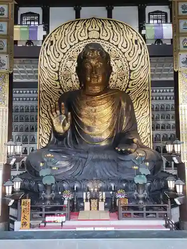 清大寺(越前大仏)(福井県)