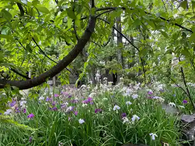 市原稲荷神社(愛知県)