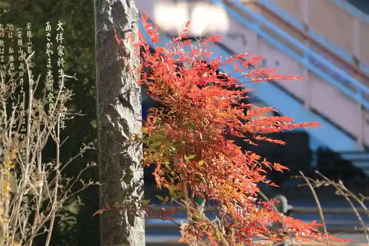 安積國造神社の自然