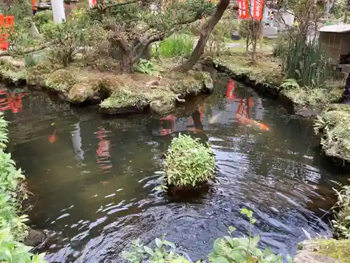 妙圓寺の庭園