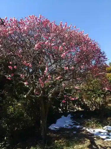 実相院(茨城県)