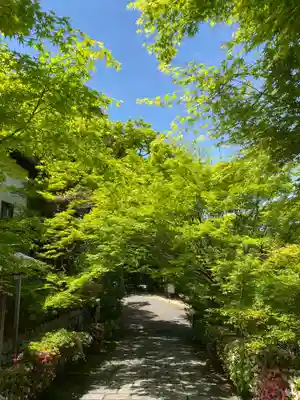 曼殊院門跡のその他建物