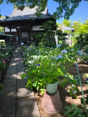 浄明院(愛媛県)