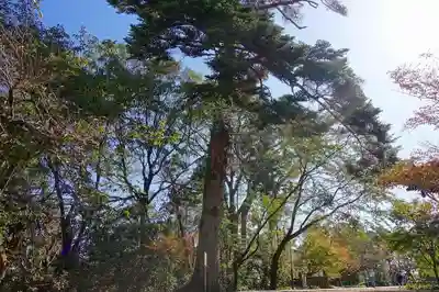 光明寺（粟生光明寺）のその他建物