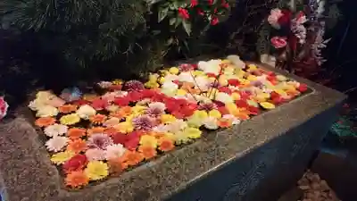 金蛇水神社(宮城県)