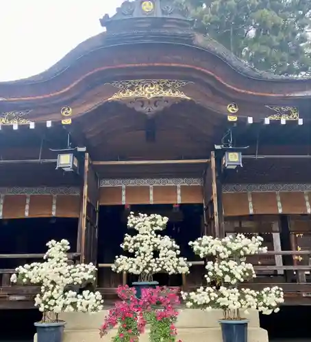 多賀大社(滋賀県)