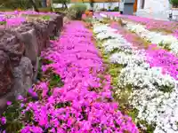 寿量山 速成寺(奈良県)