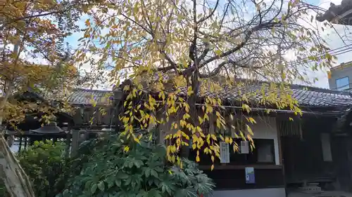下御霊神社(京都府)