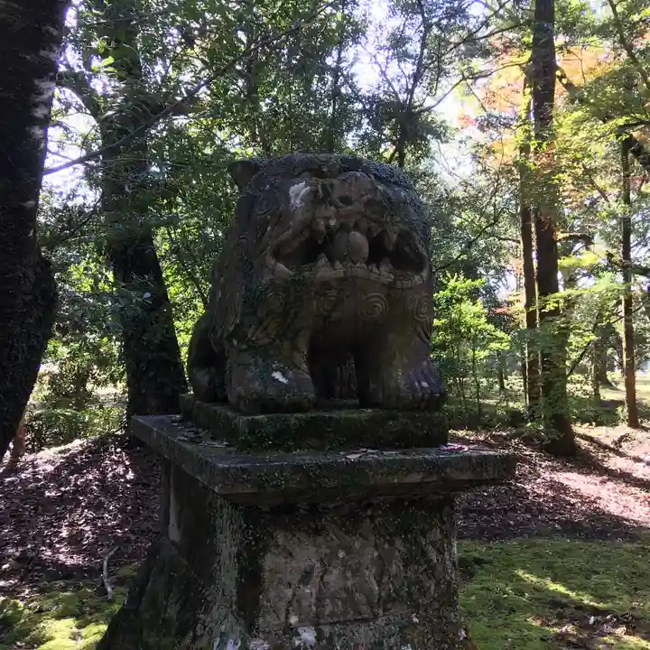 綾神社の狛犬