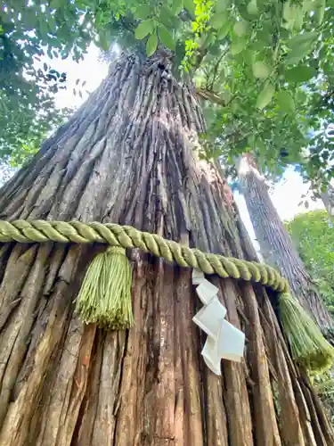 丹生川上神社（中社）(奈良県)
