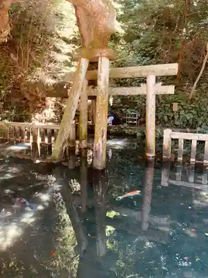 鹿島神宮(茨城県)