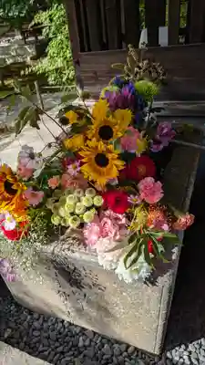 勝林寺(京都府)