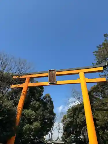川越氷川神社(埼玉県)