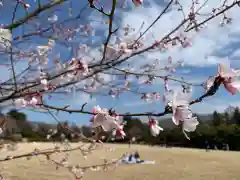 射水神社の自然