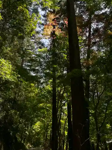 小國神社の{uncategorized: "未分類", other: "その他", undefined: "問題あり", building: "その他建物", grave: "お墓", sacred_gate: "鳥居", guardian: "狛犬", statue: "像", buddha: "仏像", history: "歴史", nature: "自然", garden: "庭園", animal: "動物", pagoda: "塔", temizu: "手水舎", mountain_gate: "山門・神門", sanctuary: "本殿・本堂", subordinate: "末社・摂社", art: "芸術", scenery: "景色", jizo: "地蔵", ema: "絵馬", goshuin: "御朱印", omikuji: "おみくじ", items: "授与品その他", amulet: "お守り", goshuincho: "御朱印帳", eats: "食事", festival: "お祭り", votive_dance: "神楽", shichigosan: "七五三参", wedding: "結婚式", experience: "体験その他", initially: "初詣", around: "周辺", anti_infection: "感染症対策"}