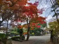 日高神社の庭園