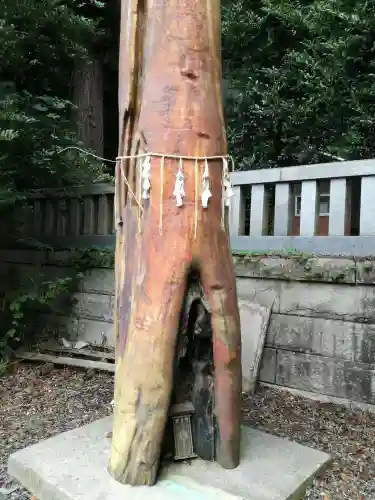 安房神社の自然