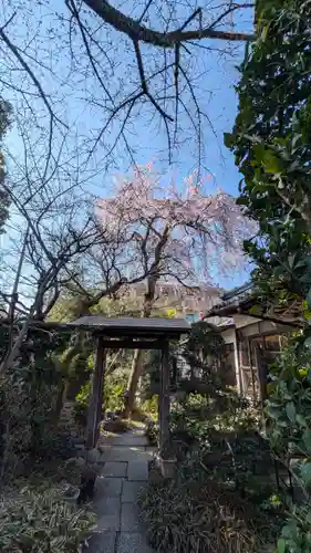 妙雲院(京都府)