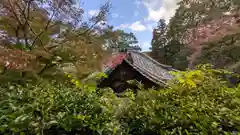 十輪寺(京都府)