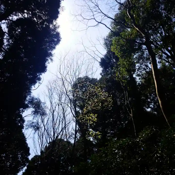 鹿島神宮の自然