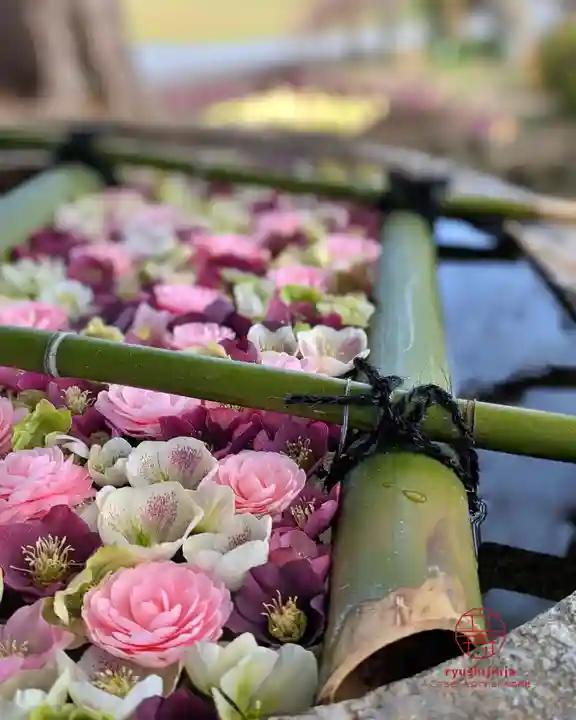 立志神社(滋賀県)