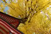 能満寺(山口県)