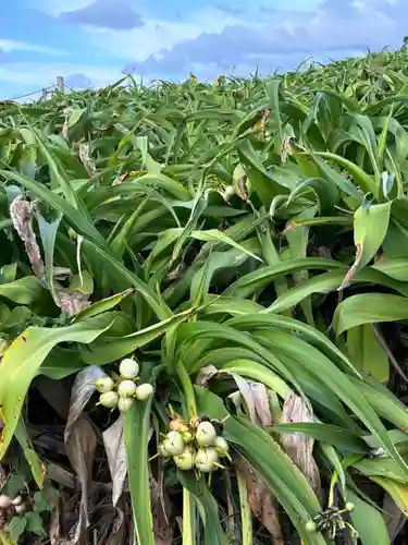 夢崎明神(山口県)